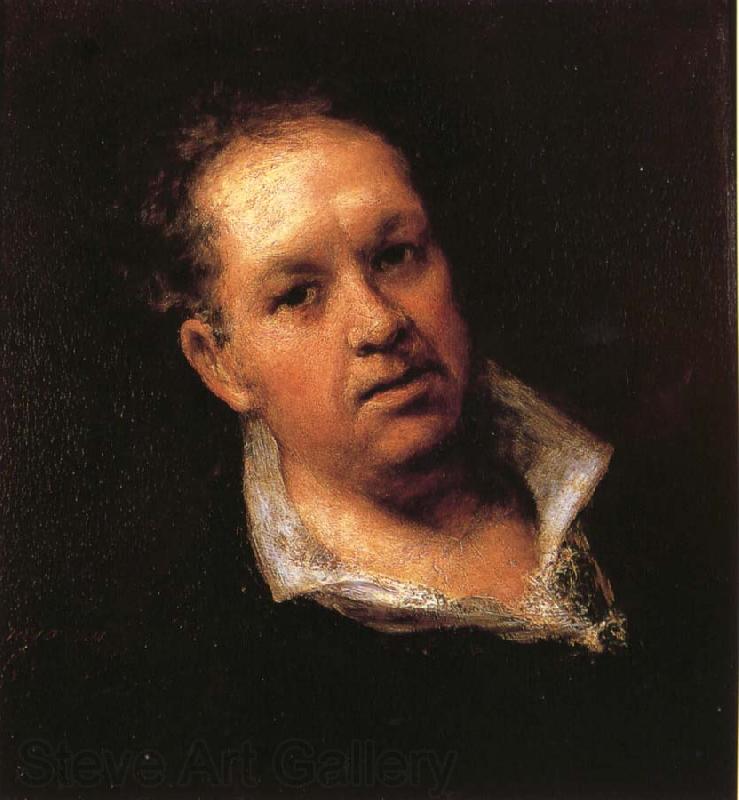 Francisco Goya Self-Portrait France oil painting art